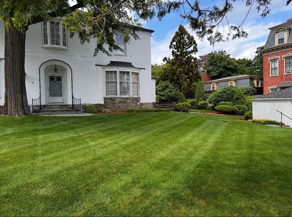 Neatly striped green lawn and clean planting beds at a white colonial home in Rhode Island