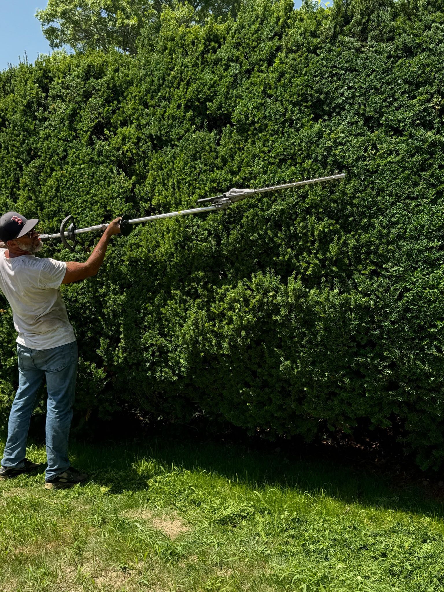 Neatly shaped foundation shrubs and a clean hedge line along a Rhode Island home
