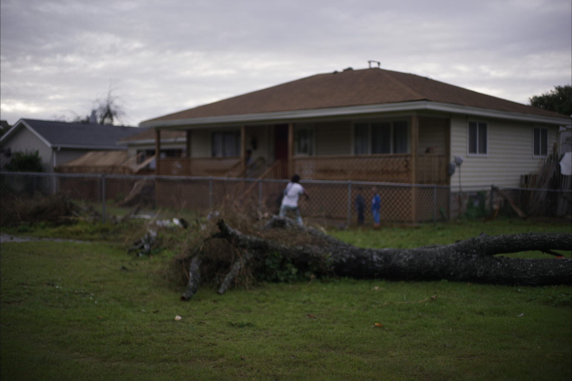 Storm-downed tree limbs being cleared from a Rhode Island property after severe weather
