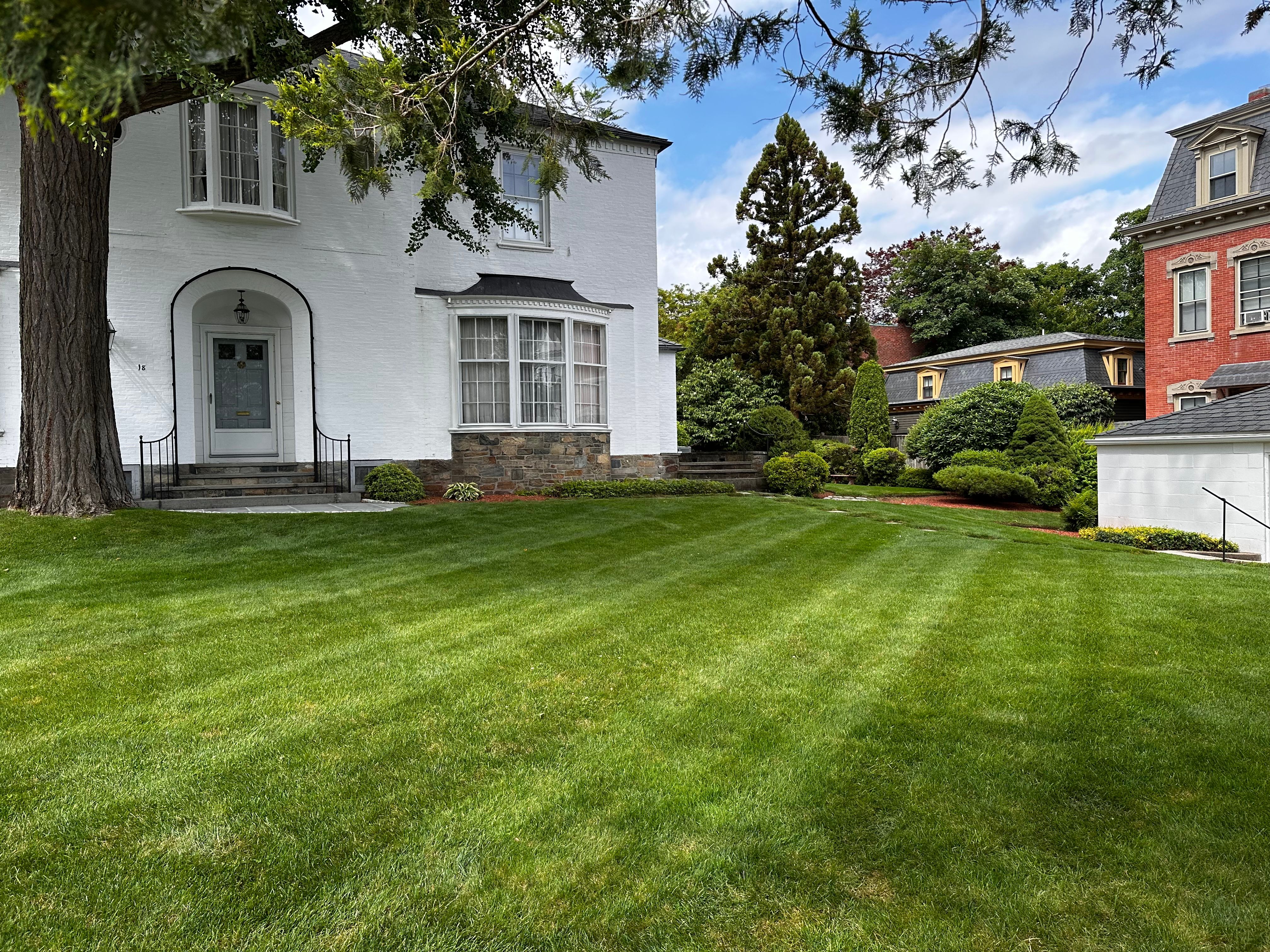 A tidy backyard garden with shaped shrubs after a full cleanup